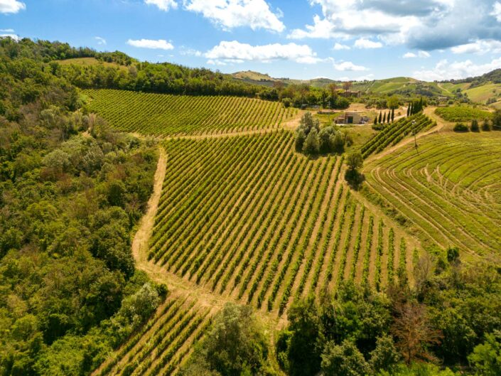 foto-cantina-drone-vigna