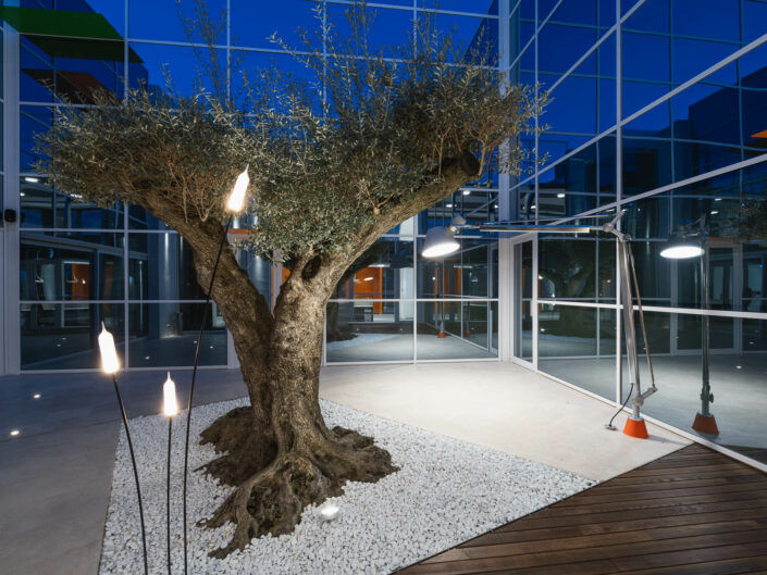 foto-corporate-aziendali-Linergy