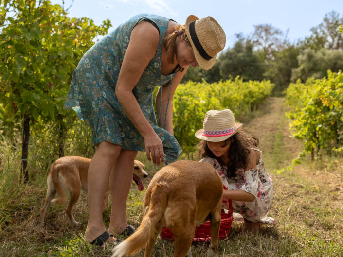 fotografia-cantina-vigna